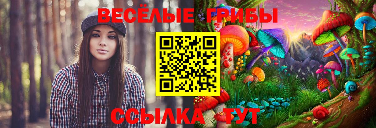 Галлюциногенные грибы GOLDEN TEACHER  Вход с VPN  Псилоцибиновые грибы Psilocybe  Соликамск 