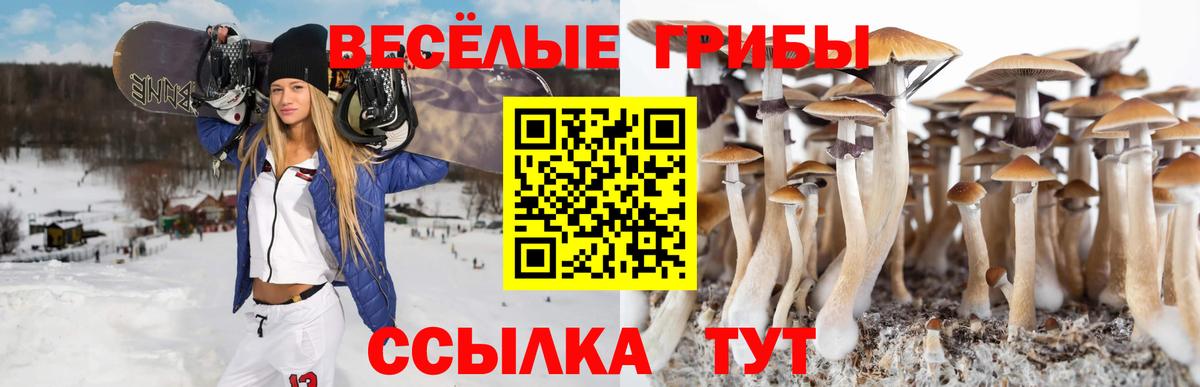 Галлюциногенные грибы Magic Shrooms Соликамск